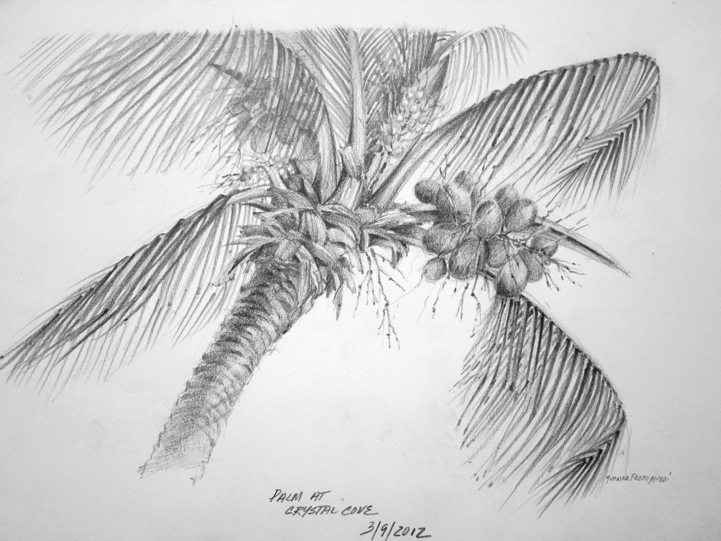 How to draw Palm Tree in Architecture Sketch #DrawPALM #DrawTREE #Gibpal -  YouTube
