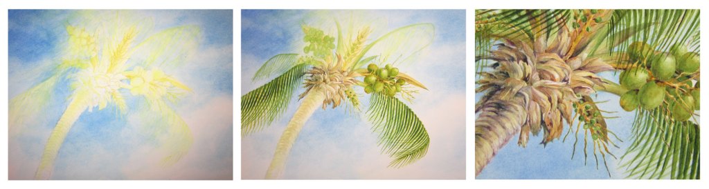 Palm tree watercolor study by Yvonne Pecor Mucci