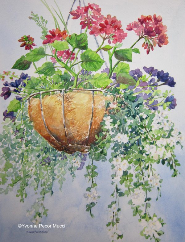 Hanging Basket Watercolor 14w x 18d