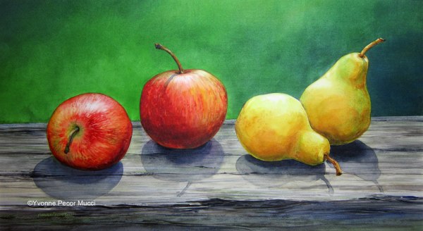 Apples and Pears Watercolor by Yvonne Pecor Mucci (Framed 